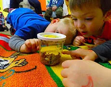 Preschool (ages 3-4)